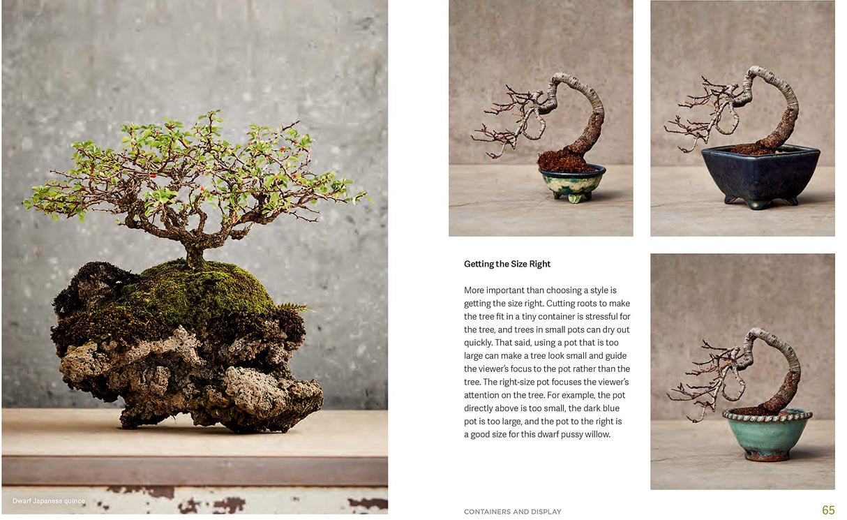 The Little Book of Bonsai: An Easy Guide to Caring for Your Bonsai Tree - Retail Maharaj