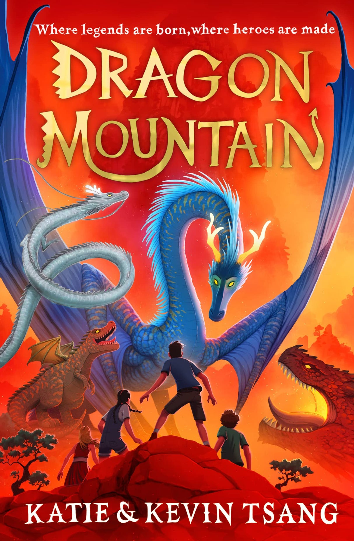 Dragon Mountain - Retail Maharaj