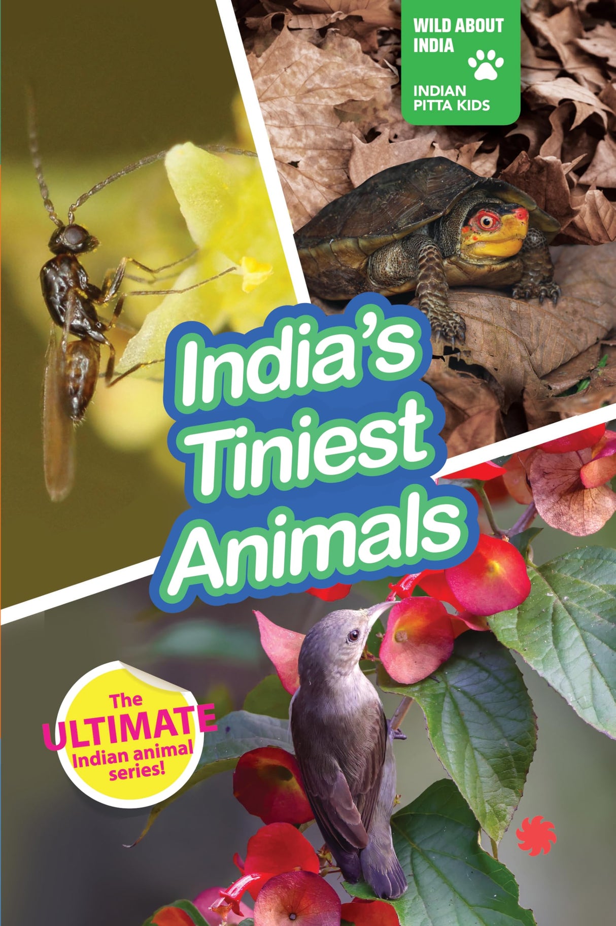 INDIA’S TINIEST ANIMALS : Wild About India - Engaging Book for Kids (Ages 5-15) - Fun Facts, Trivia Questions and Answers to Teach Your Children about the Animal Kingdom - Retail Maharaj