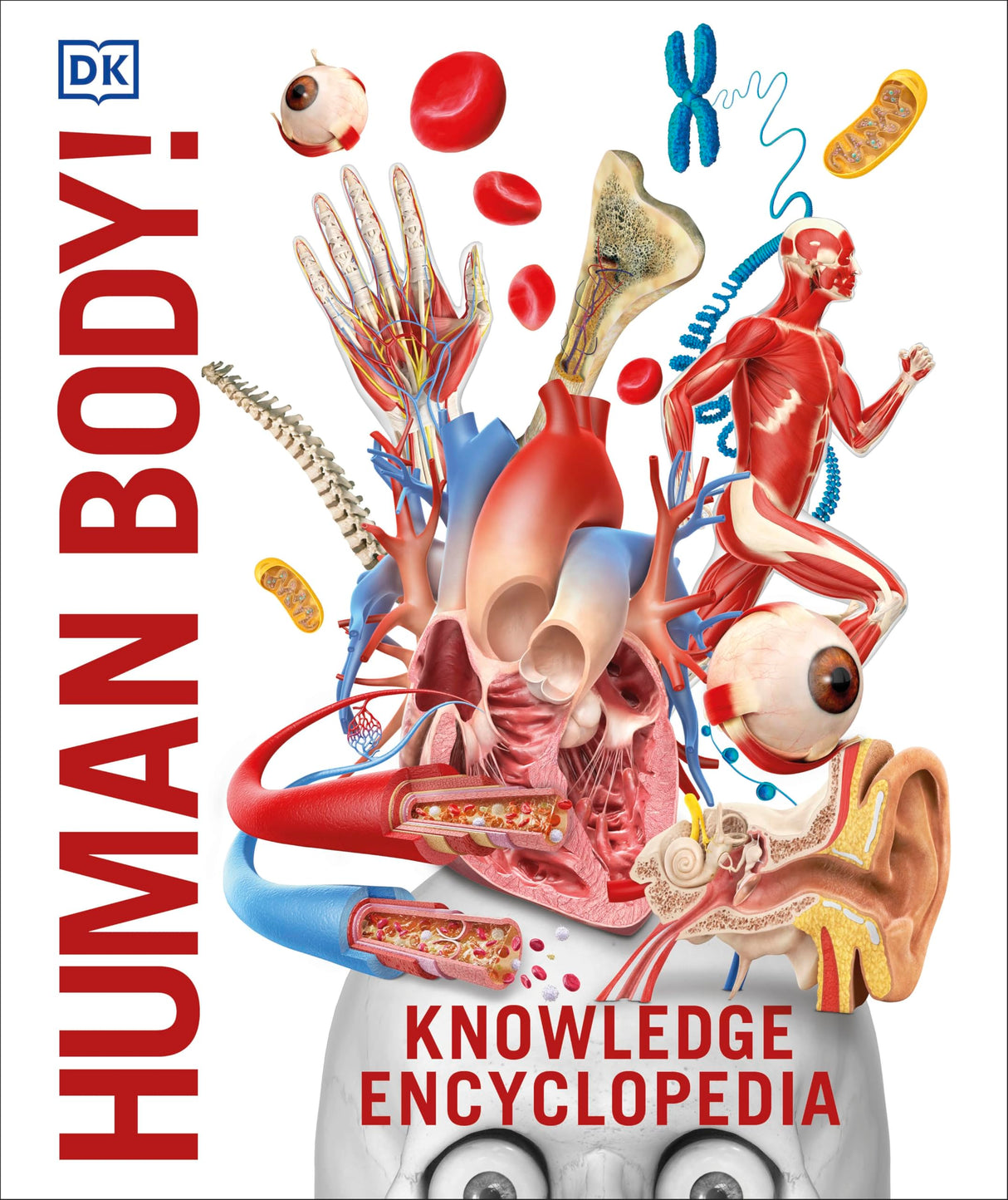 Knowledge Encyclopedia: Human Body!: Your Amazing Body As You've Never Seen It Before - Retail Maharaj