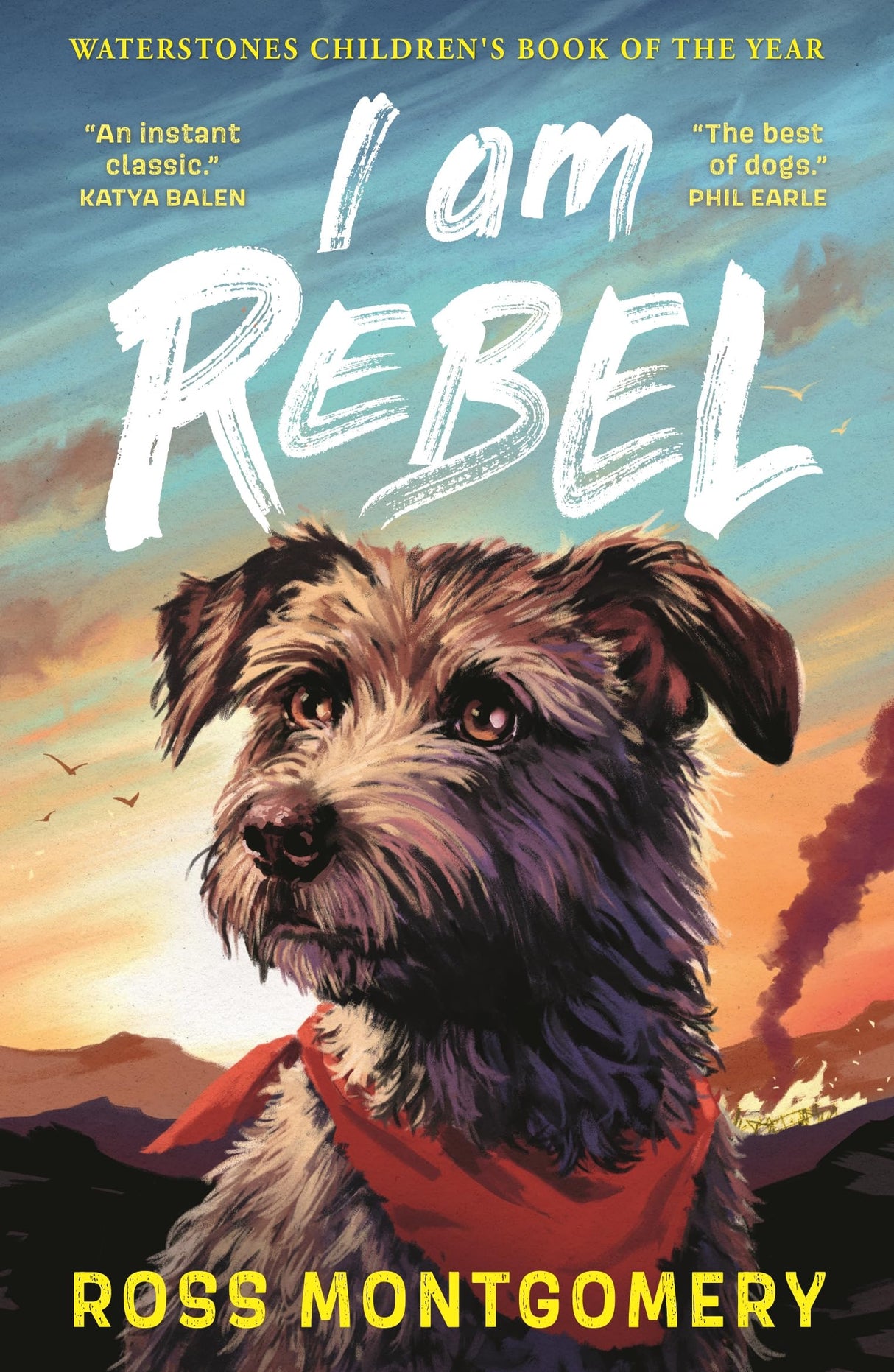 I Am Rebel: Waterstones Children's Book of the Year 2024 - Retail Maharaj