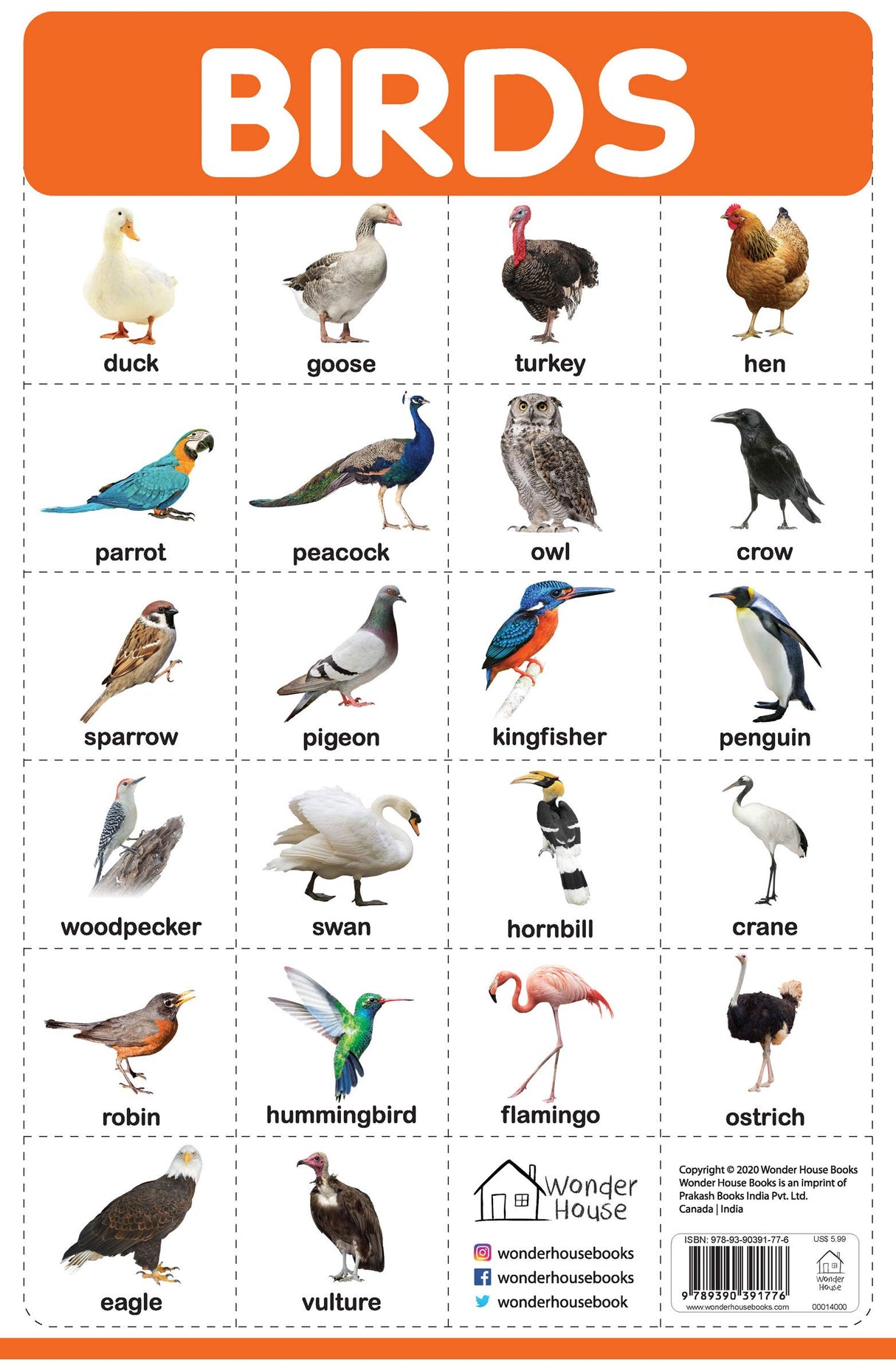 Birds - My First Early Learning Wall Posters: For Preschool, Kindergarten, Nursery And Homeschooling (19 Inches X 29 Inches) - Retail Maharaj