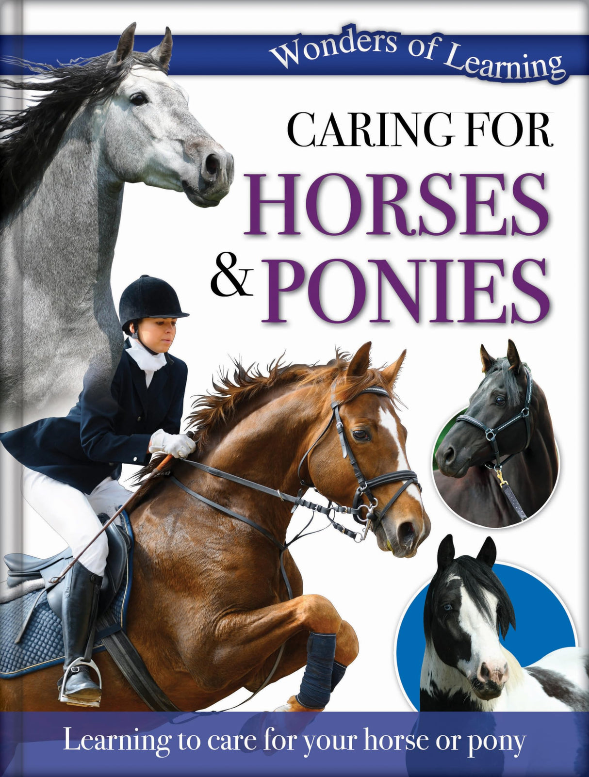 CARING FOR HORSES/PONIES: Reference Omnibus (Wonders of Learning Padded Foil Book) - Retail Maharaj