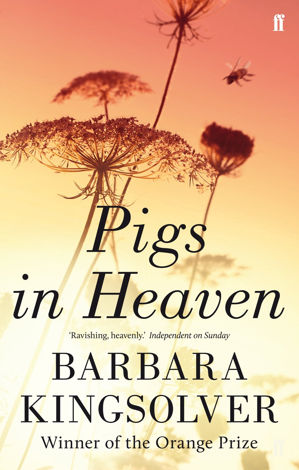 Pigs in Heaven: Author of Demon Copperhead, Winner of the Women’s Prize for Fiction - Retail Maharaj