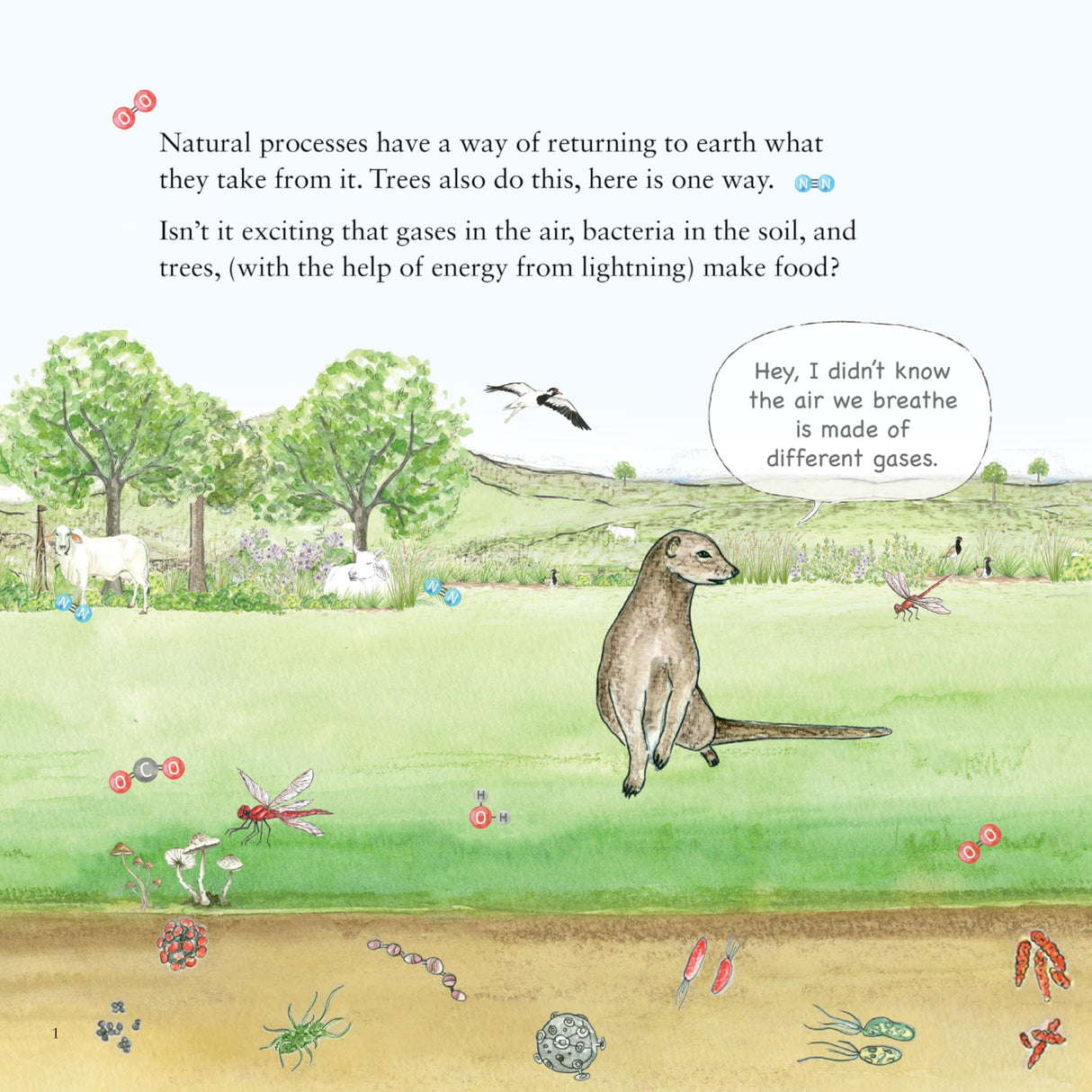 Why is Nitrogen Needed? - A Larks and Fables Story - Retail Maharaj