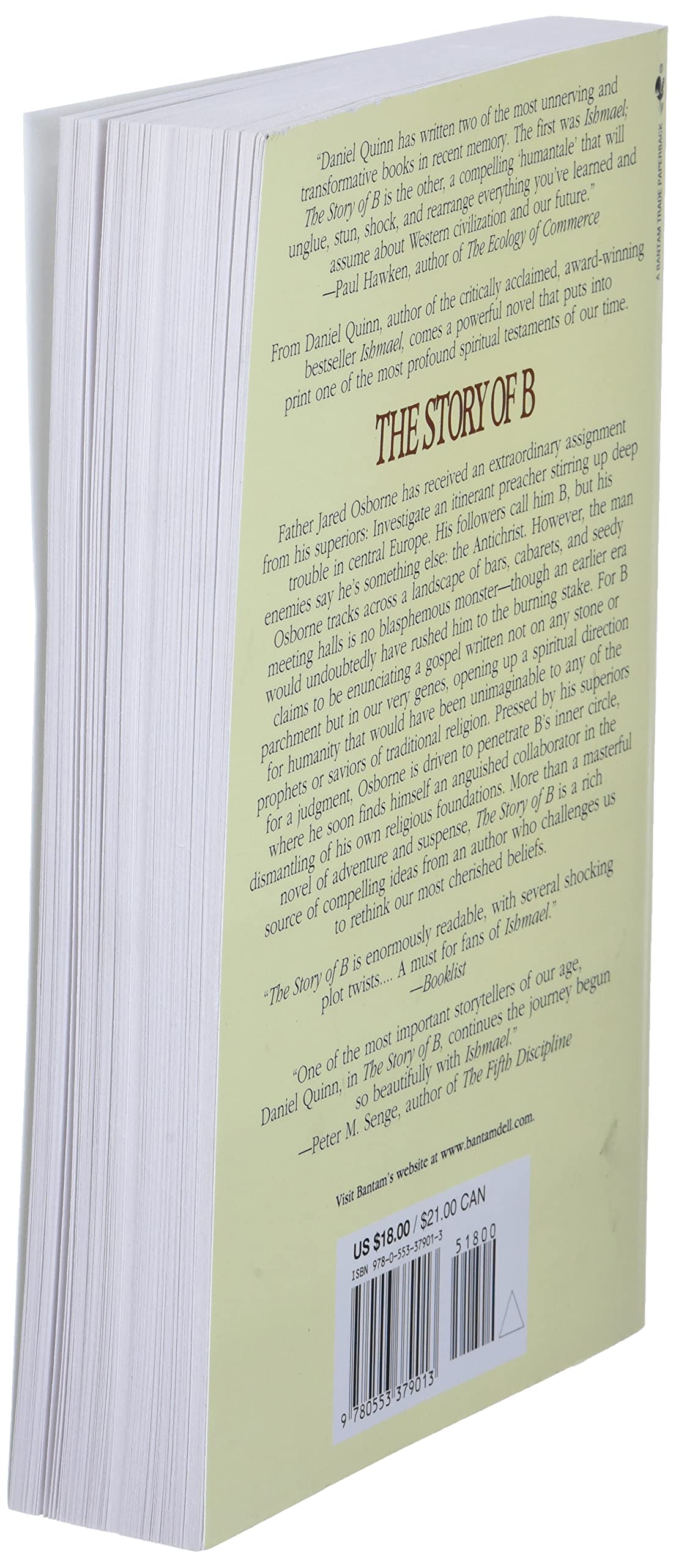 The Story of B: 2 (Ishmael Series) - Retail Maharaj