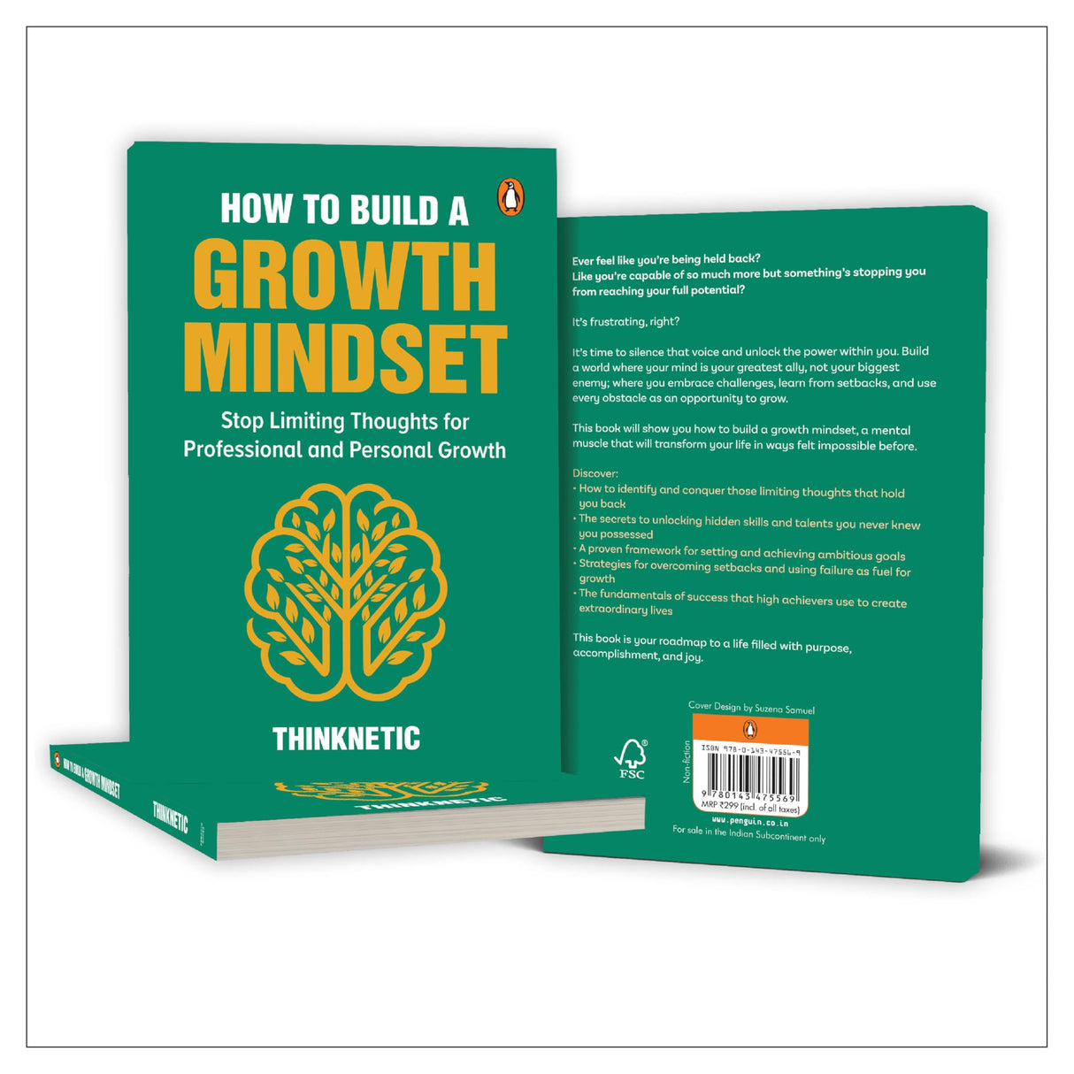 How To Build a Growth Mindset: Stop Limiting Thoughts for Professional and Personal Growth - Retail Maharaj