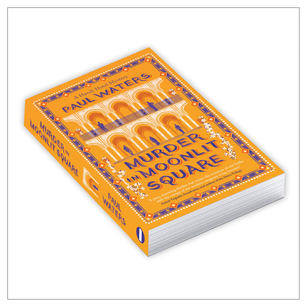 Murder in Moonlit Square: A Cozy Crime Mystery Set in Delhi’s Chandni Chowk | Quirky Detective Duo a streetwise nun and a hotelier | For Fans of ... nun and a hotelier take on murder and mayhem - Retail Maharaj