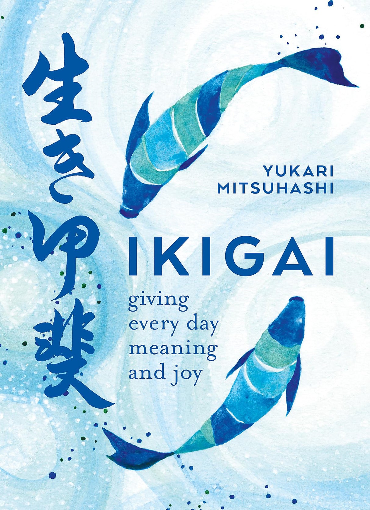 IKIGAI - Retail Maharaj