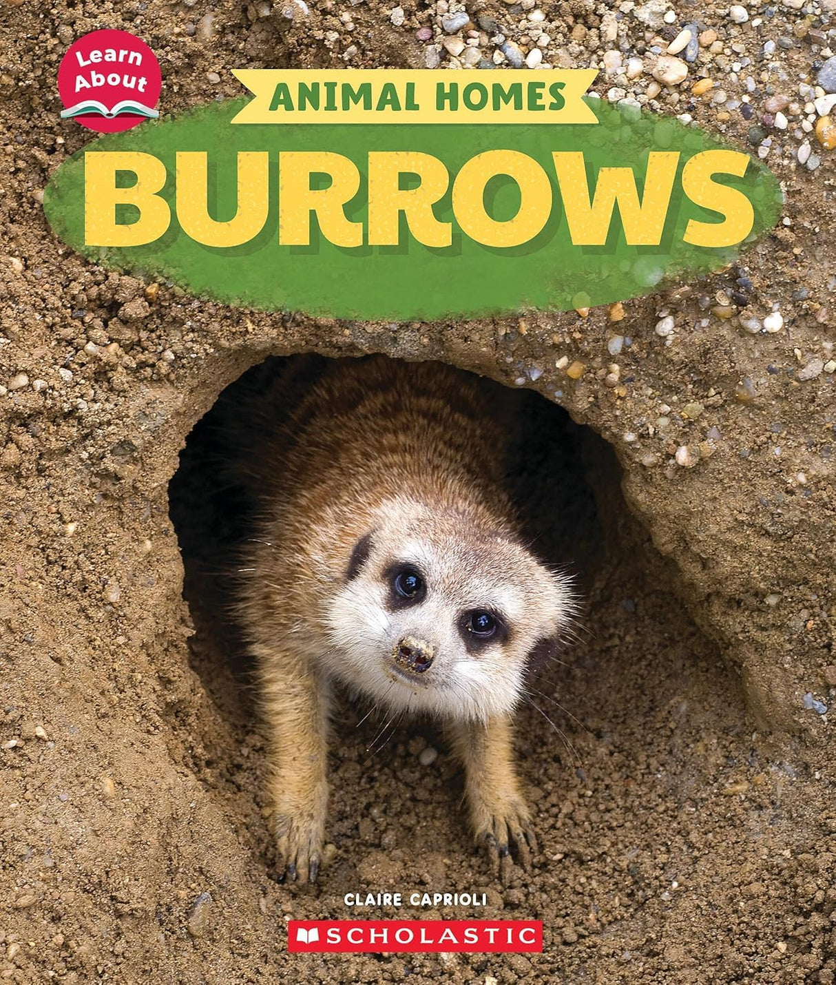 Learn About: Animal Homes: Burrows - Retail Maharaj