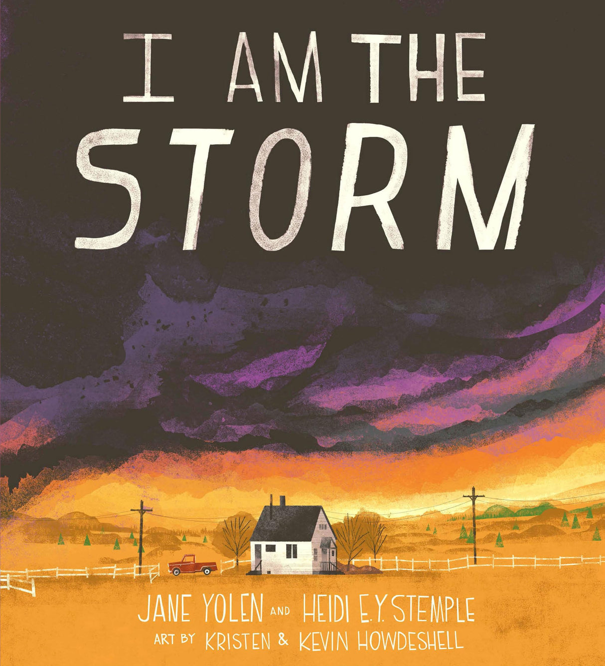 I Am the Storm - Retail Maharaj