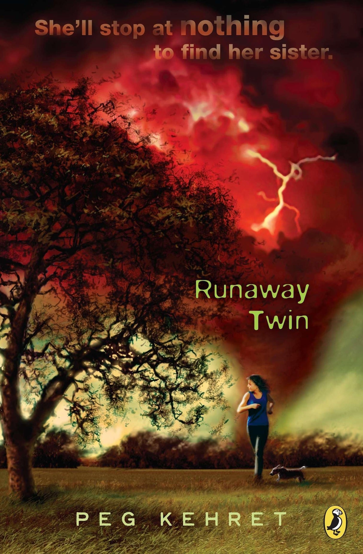 Runaway Twin - Retail Maharaj
