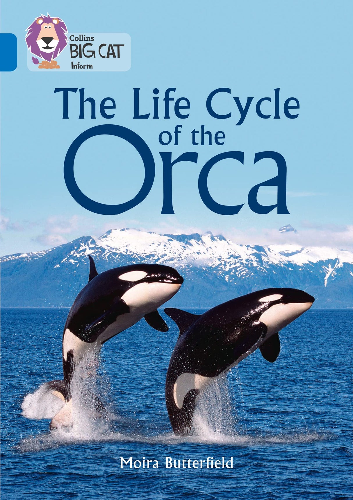 Life Cycle of the Orca: Band 16/Sapphire (Collins Big Cat) - Retail Maharaj
