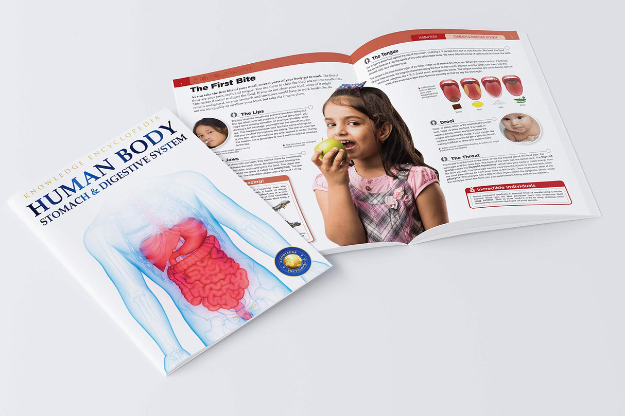 Human Body - Stomach And Digestive System: Knowledge Encyclopedia For Children - Retail Maharaj