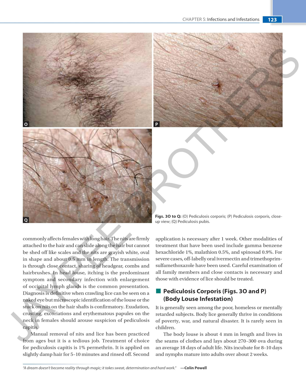 COLOR ATLAS & SYNOPSIS OF PEDIATRIC DERMATOLOGY - Retail Maharaj