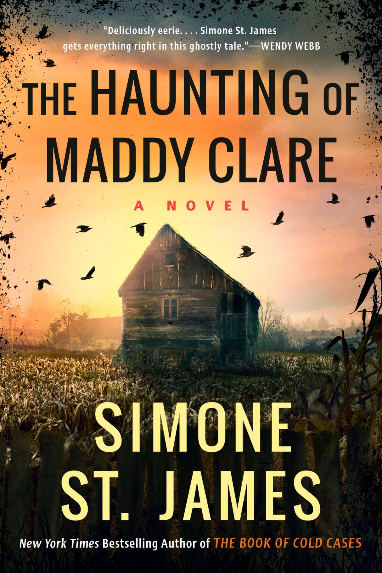 The Haunting of Maddy Clare - Retail Maharaj