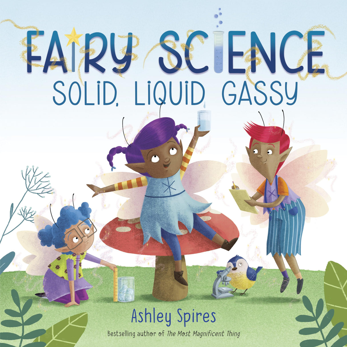 Solid, Liquid, Gassy! (Fairy Science) - Retail Maharaj