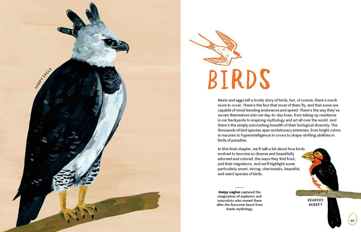 Nests, Eggs, Birds: An Illustrated Aviary - Retail Maharaj
