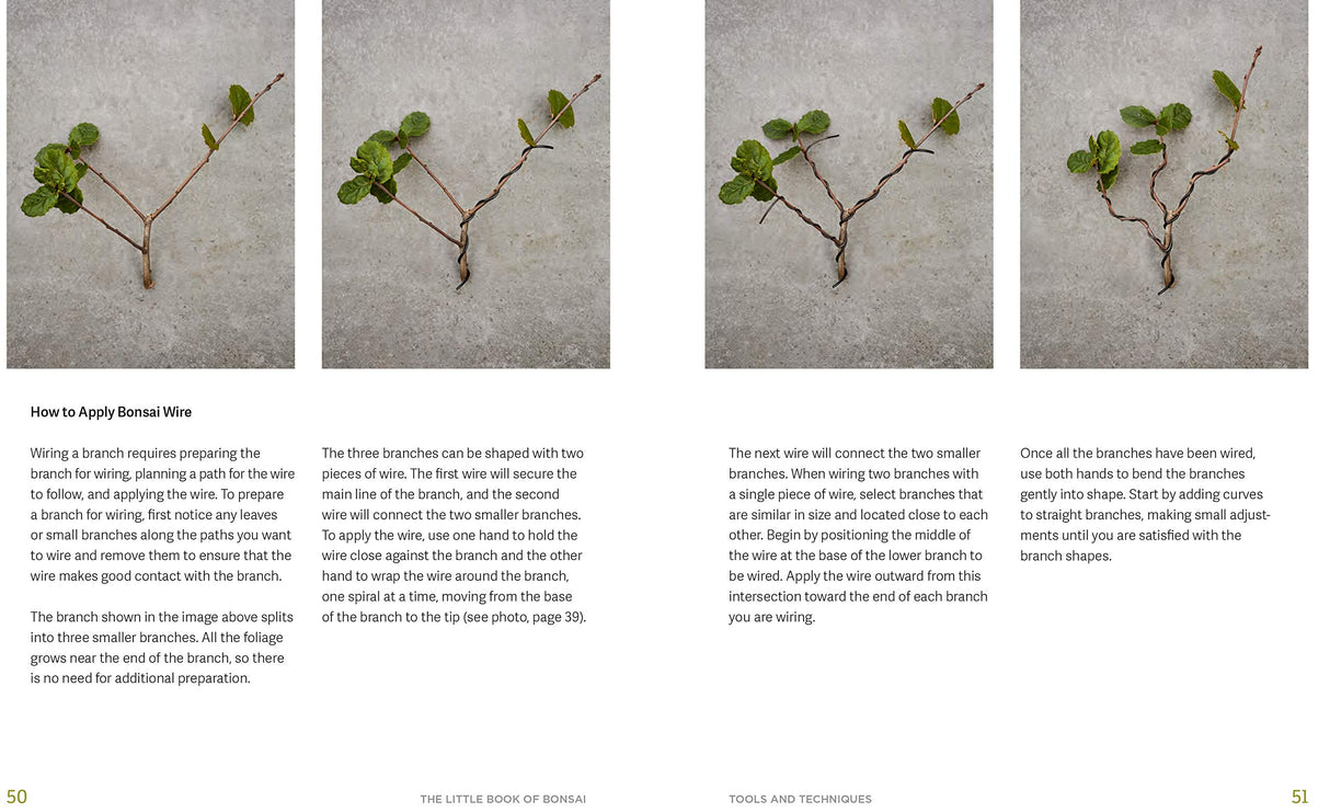 The Little Book of Bonsai: An Easy Guide to Caring for Your Bonsai Tree - Retail Maharaj