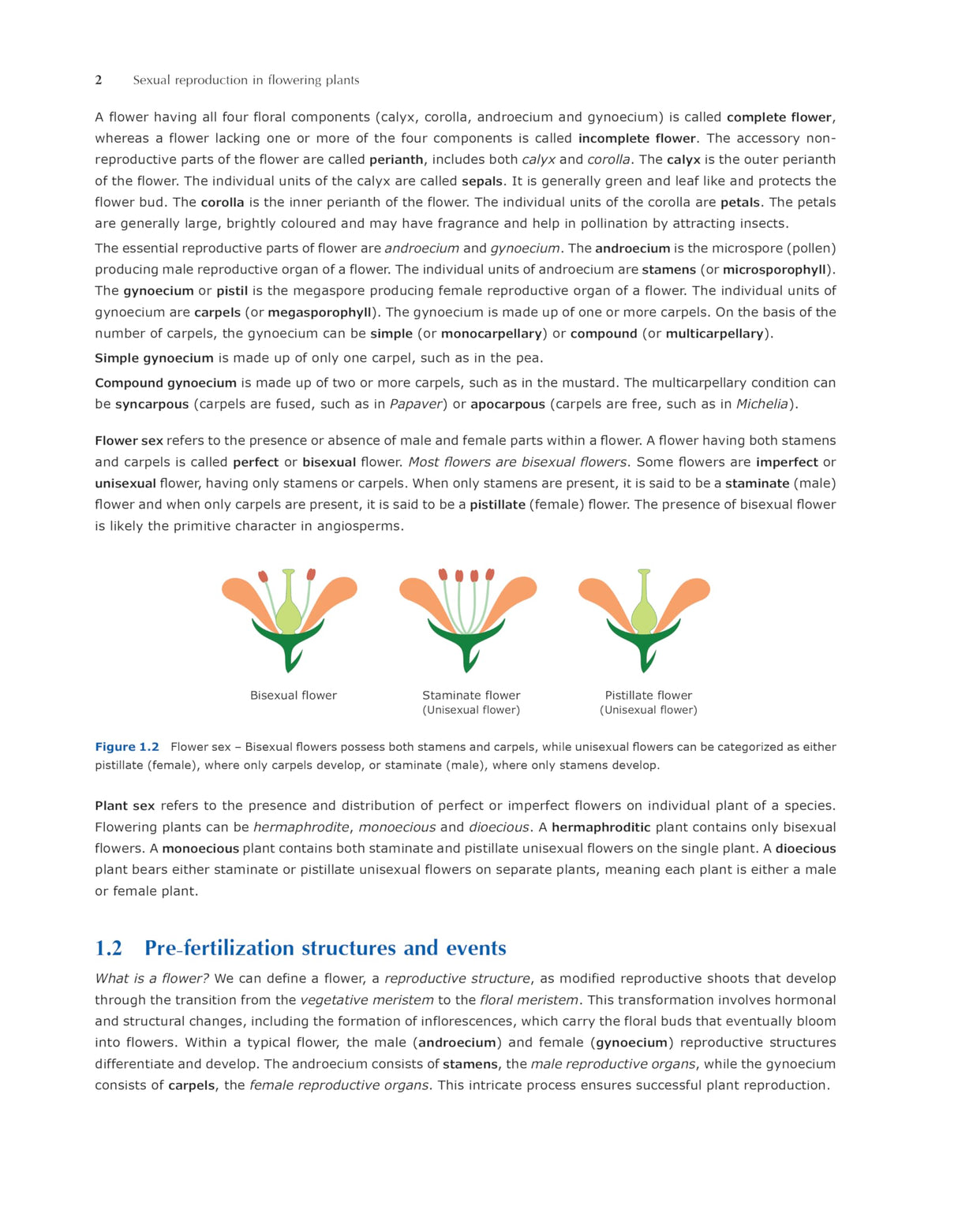 Pathfinder's NCERT Biology Book for Class 12: Comprehensive Guide for NEET, CUET (UG) Biology, and Class 12 Board | Latest NCERT Pattern, Simplified Language, Detailed Theory, and MCQs - Retail Maharaj