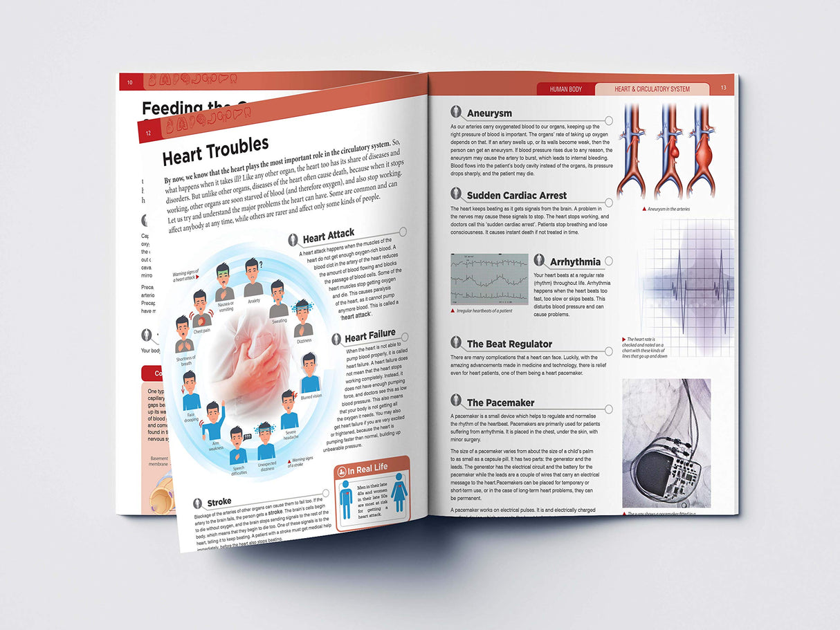 Human Body - Heart And Circulatory System: Knowledge Encyclopedia For Children - Retail Maharaj