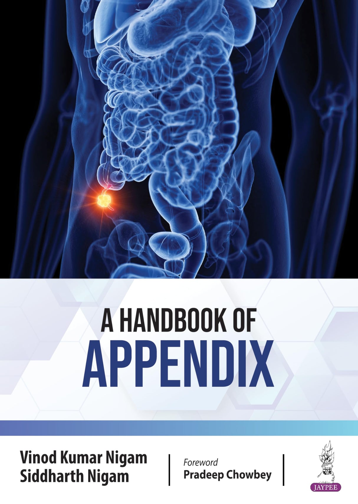A Handbook of Appendix - Retail Maharaj