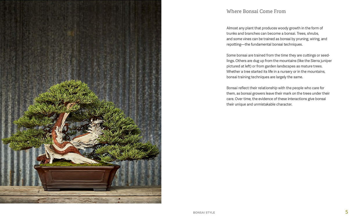 The Little Book of Bonsai: An Easy Guide to Caring for Your Bonsai Tree - Retail Maharaj