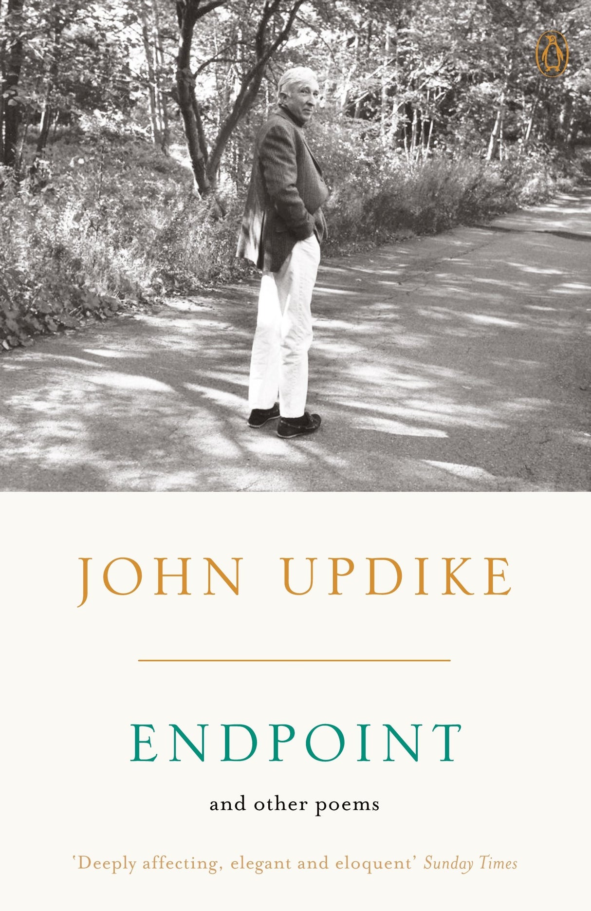 Endpoint and Other Poems - Retail Maharaj