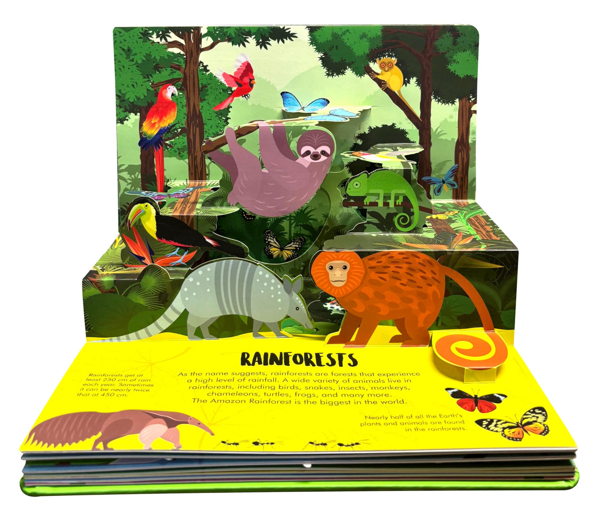 Pop Up Wild Animals Book for Kids: Interactive Learning with Adventure Pop-Up Scenes | Explore the Jungle, Safari & Forest Creatures | Fun Facts & Surprises Inside | Children’s Nature Pop-Up Book - Retail Maharaj