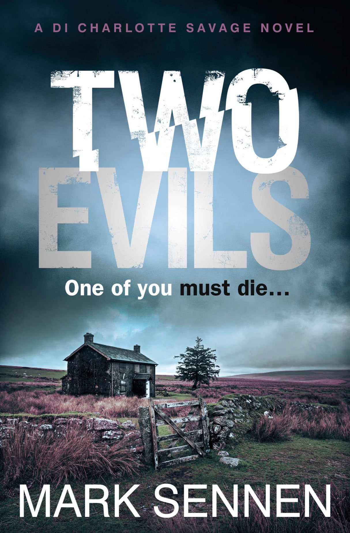 Two Evils: A Di Charlotte Savage Novel - Retail Maharaj