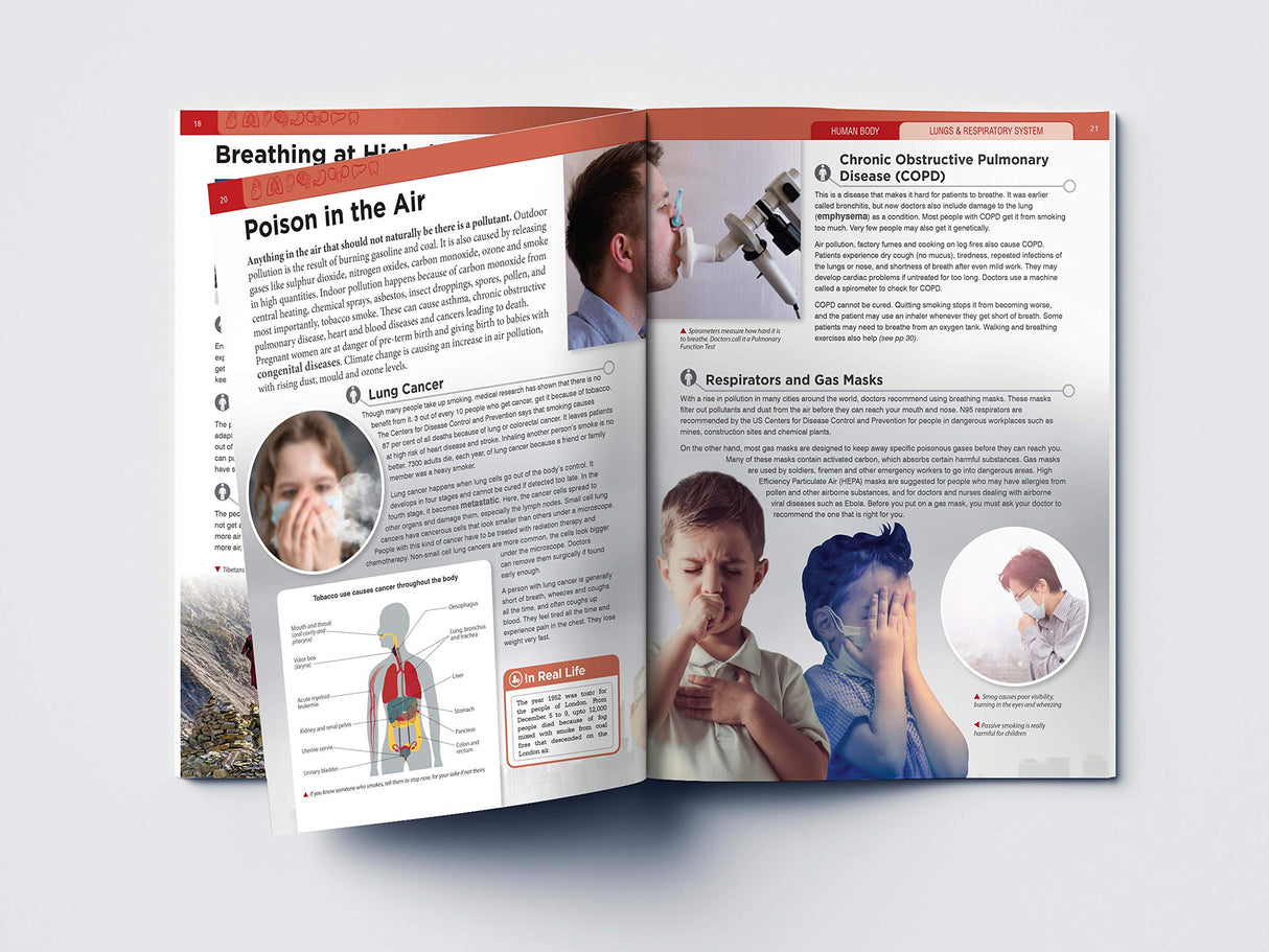 Human Body - Lungs And Respiratory System: Knowledge Encyclopedia For Children - Retail Maharaj