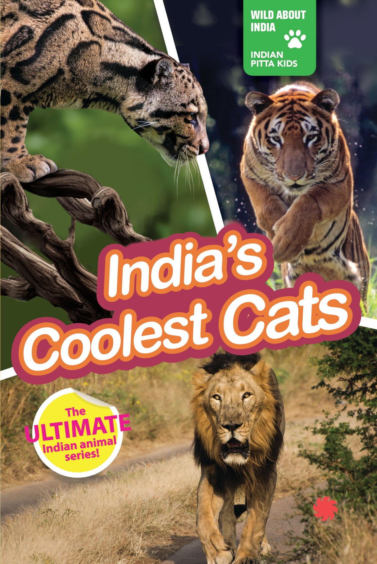 INDIA’S COOLEST CATS : Wild About India - Engaging Book for Kids (Ages 5-15) - Fun Facts, Trivia Questions and Answers to Teach Your Children about the Animal Kingdom - Retail Maharaj