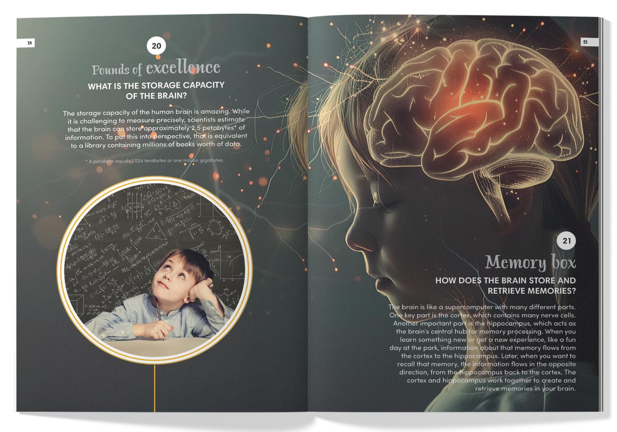101 Q&A Series - Human Body: Encyclopedia for Kids I Amazing Questions and Answers I Knowledge Book with Simple Explanations & Bright Pictures | STEM Learning I Ages 7+| Select Learning - Retail Maharaj