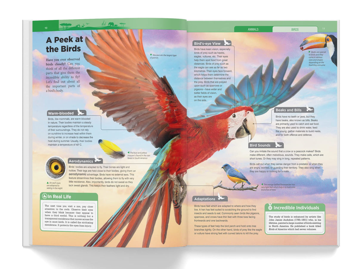 Knowledge Encyclopedia - Animals - Retail Maharaj