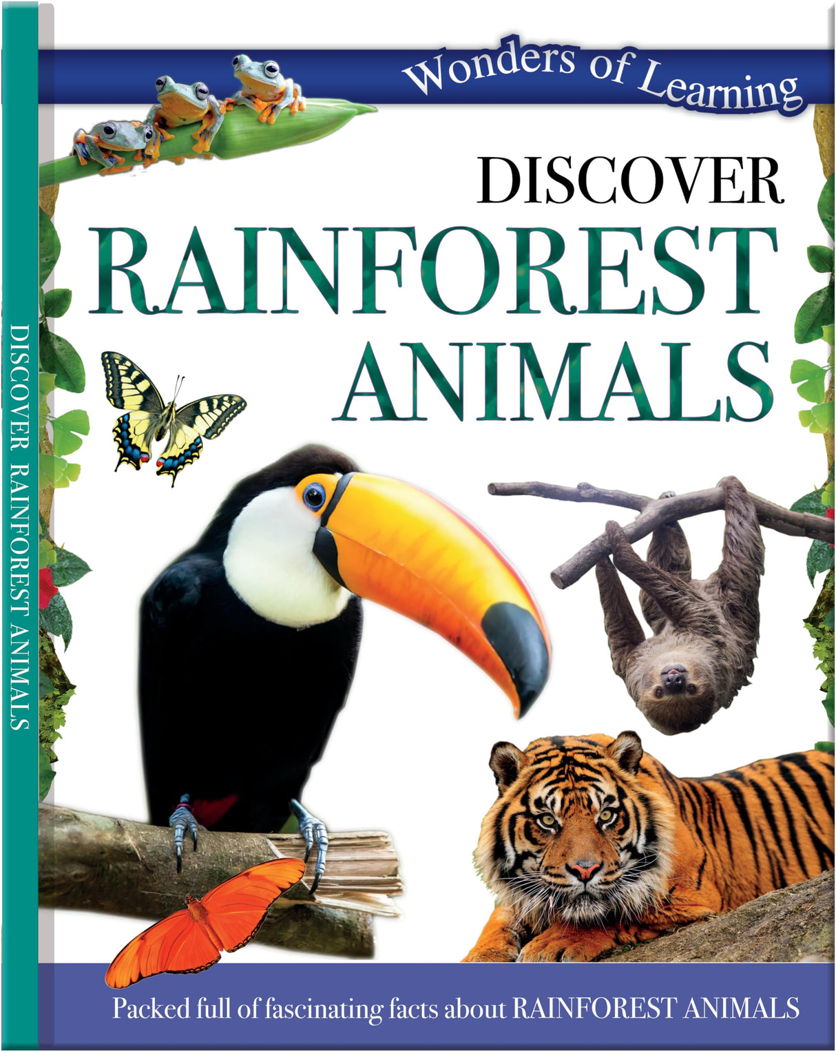 RAINFOREST ANIMALS - Retail Maharaj