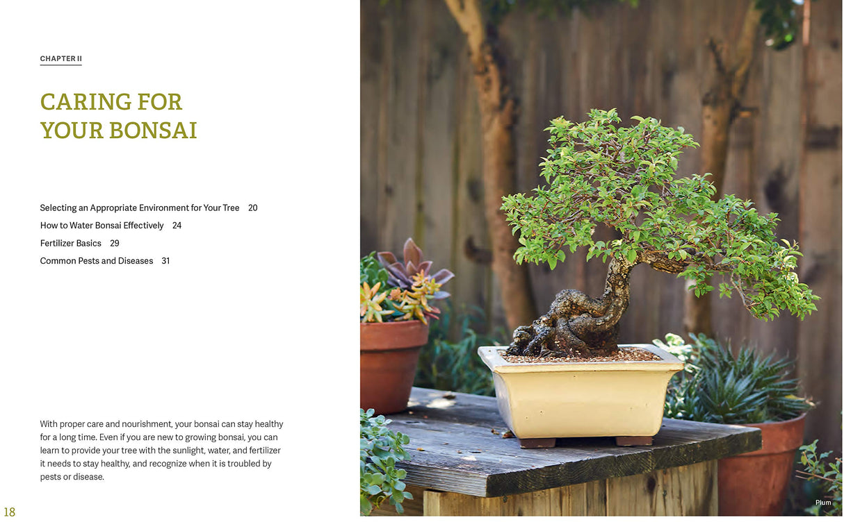 The Little Book of Bonsai: An Easy Guide to Caring for Your Bonsai Tree - Retail Maharaj
