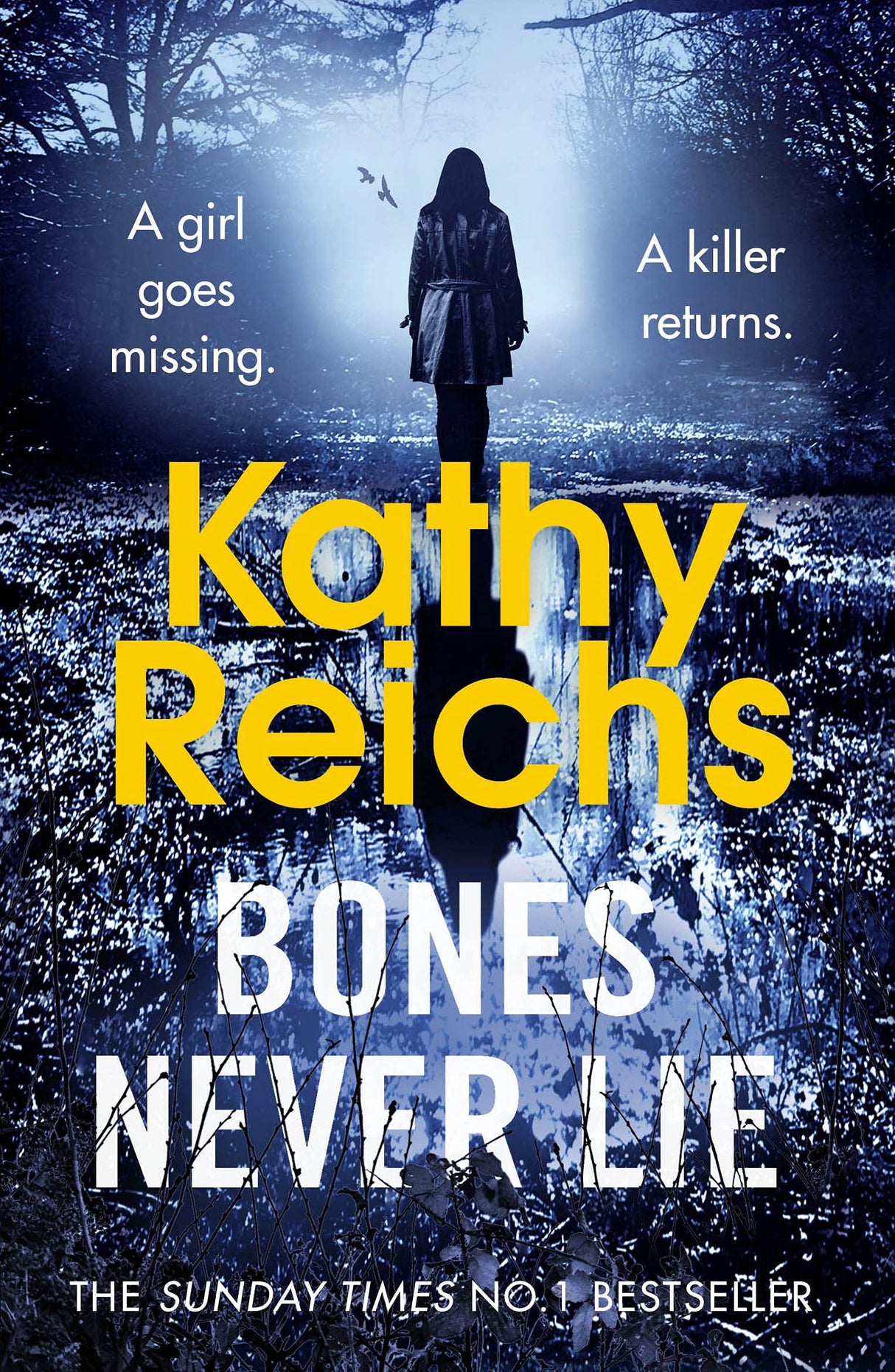 Bones Never Lie: (Temperance Brennan 17) - Retail Maharaj