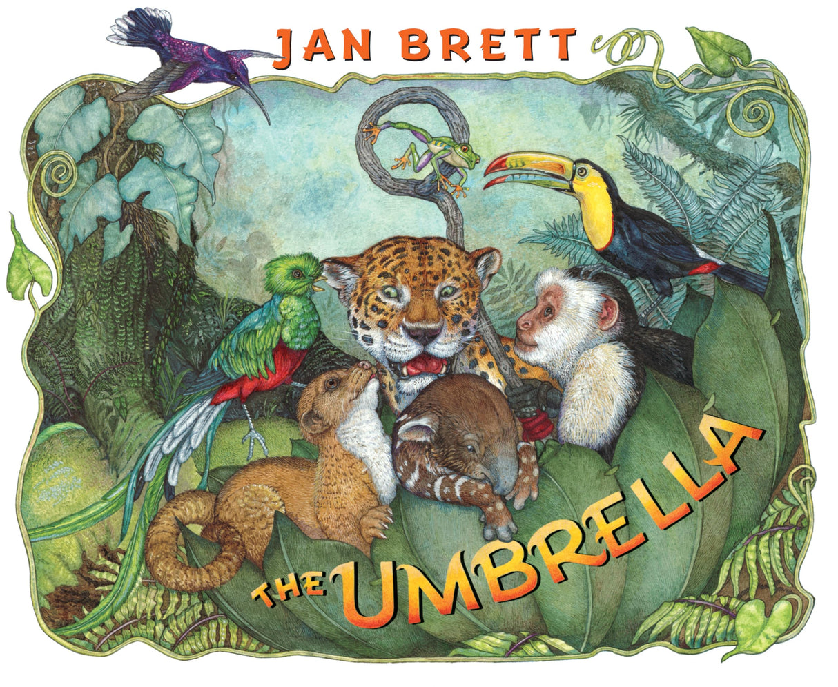 The Umbrella - Retail Maharaj