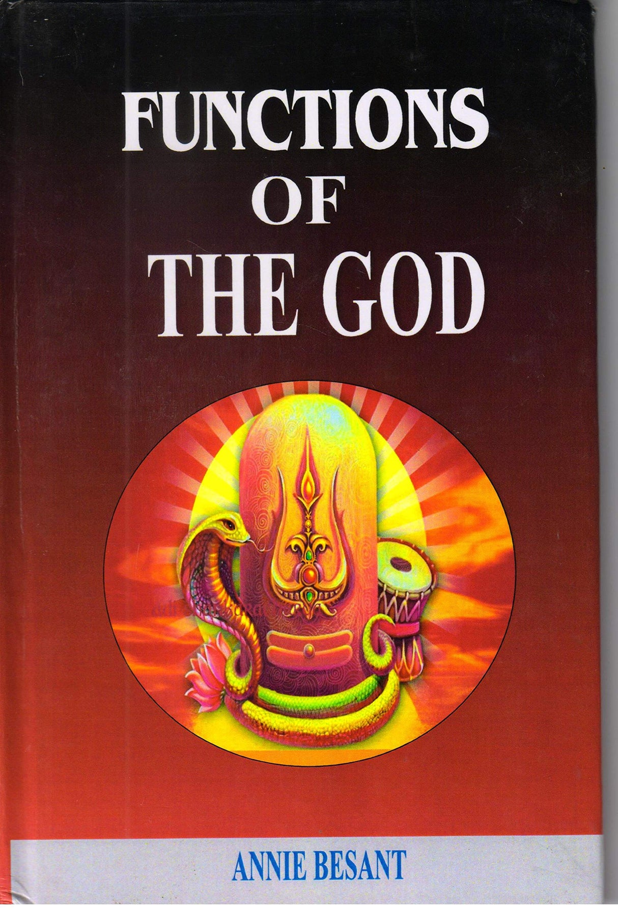 Functions Of The God - Retail Maharaj