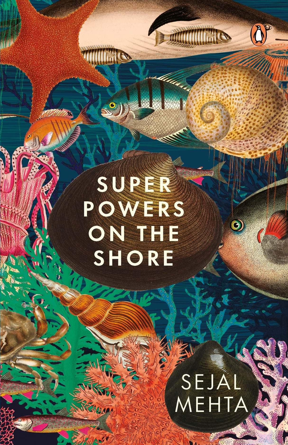 Superpowers on the Shore - Retail Maharaj