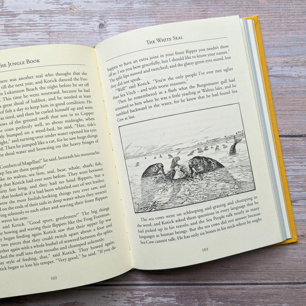 The Jungle Book (Bath Treasury of Children's Classics) - Retail Maharaj