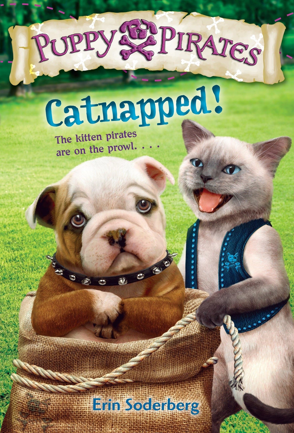 Puppy Pirates #3: Catnapped! - Retail Maharaj