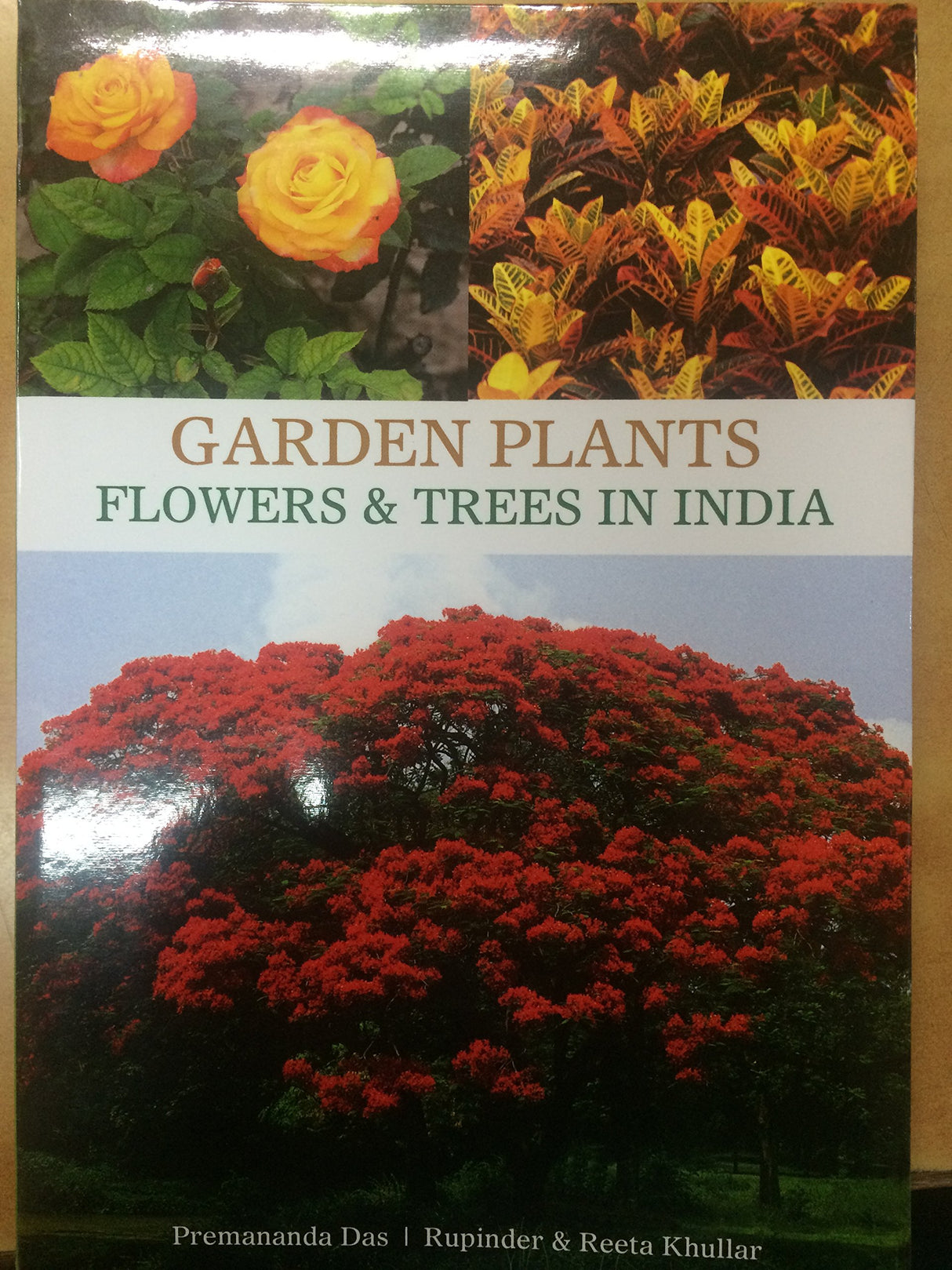 GARDEN PLANTS FLOWERS & TREES IN INDIA - Retail Maharaj