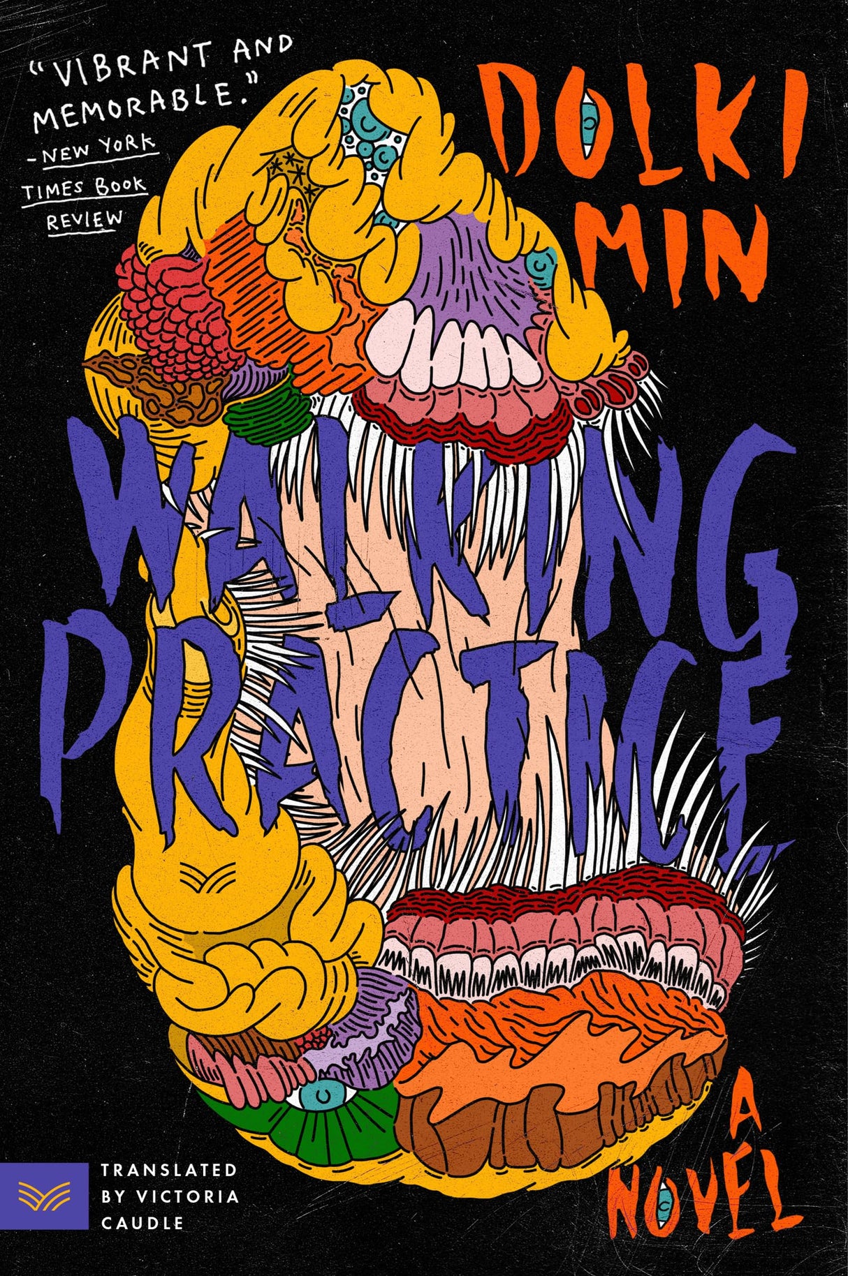Walking Practice: A Novel - Retail Maharaj
