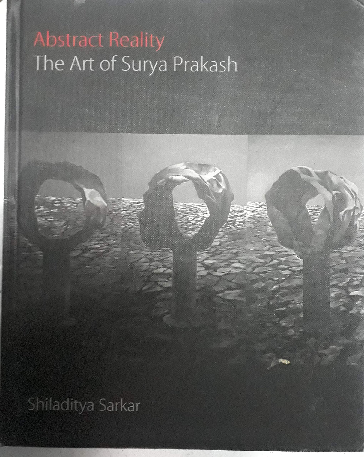 Abstract Reality the Art of Surya Prakash - Retail Maharaj