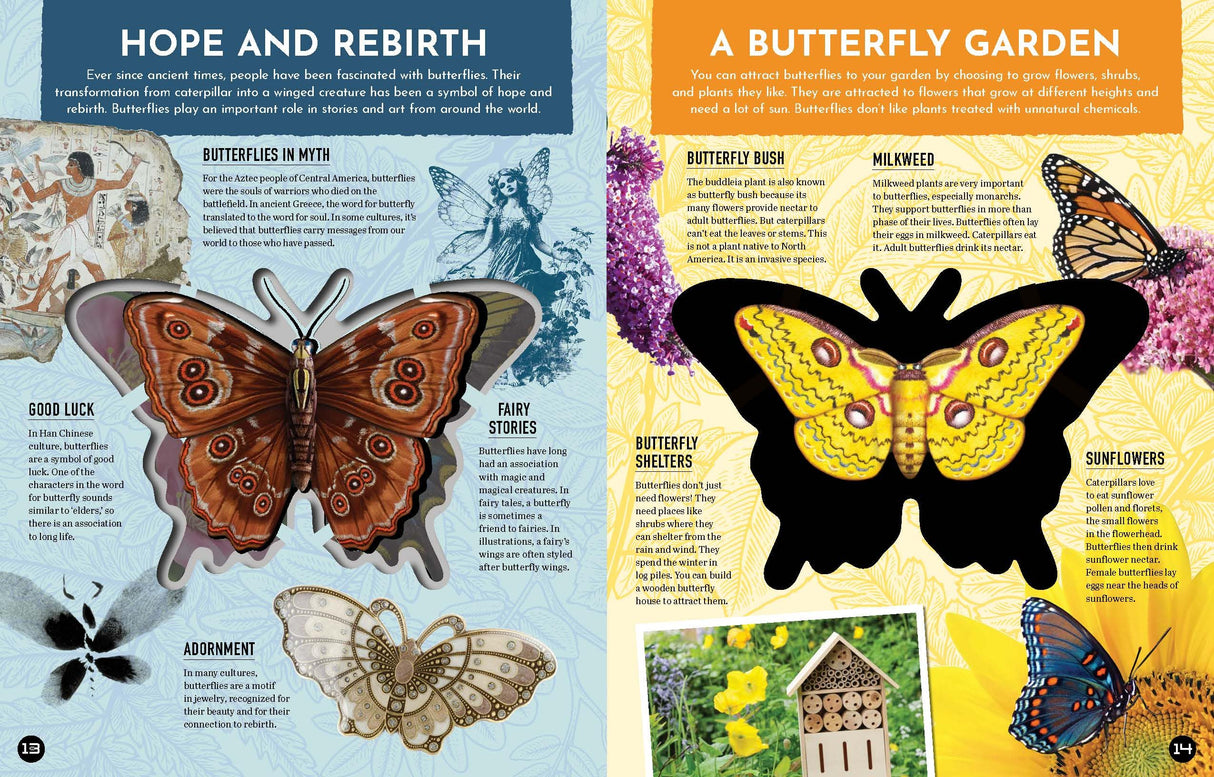Inside Out Butterfly: Discover Nature'S Most Amazing Transfo - Retail Maharaj