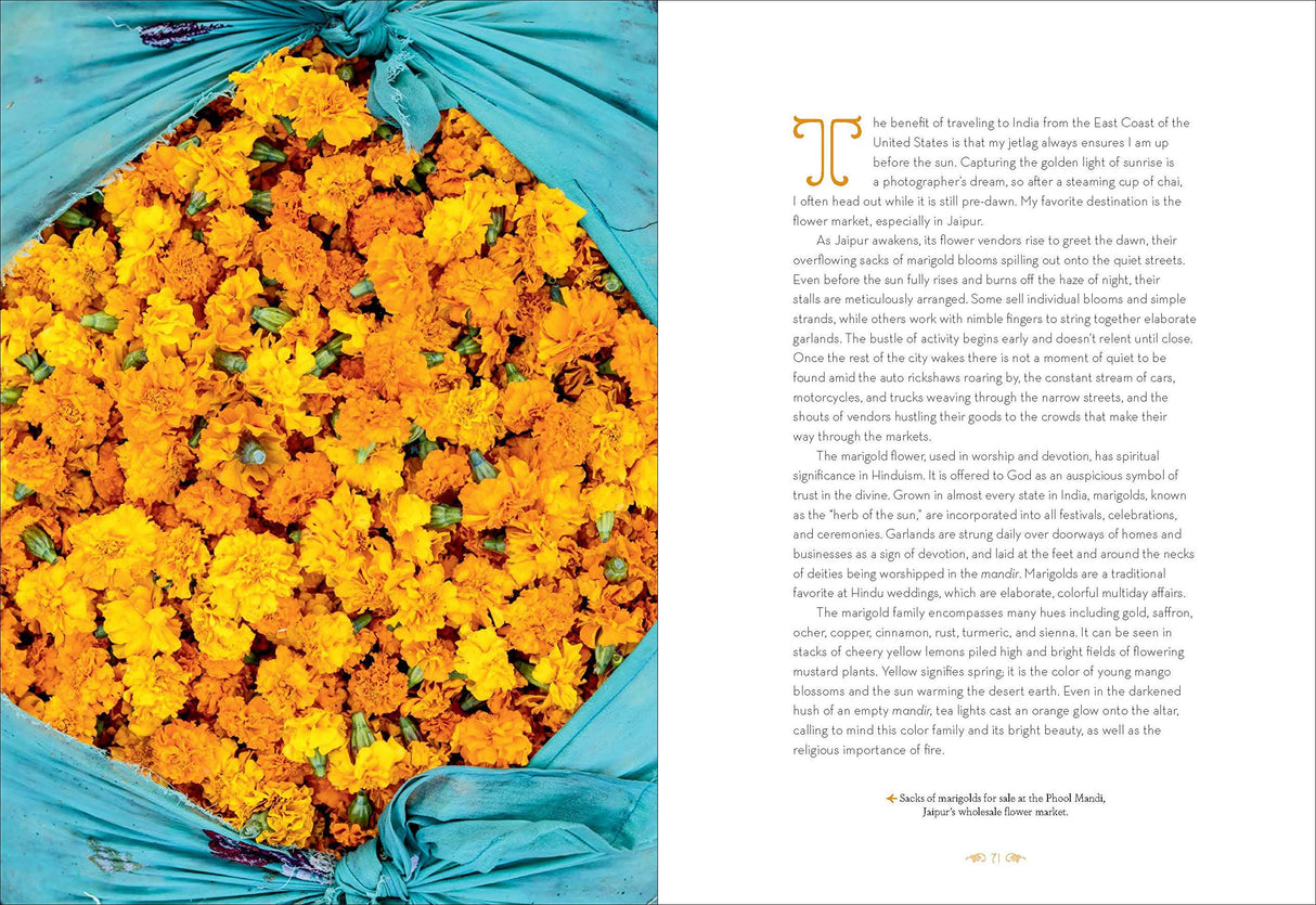 Patterns of India - Retail Maharaj