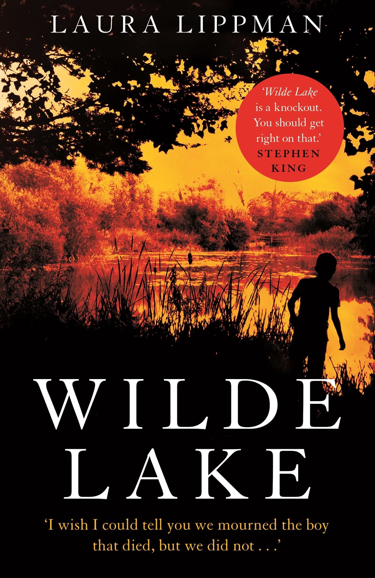 Wilde Lake: 'A knockout' Stephen King - Retail Maharaj