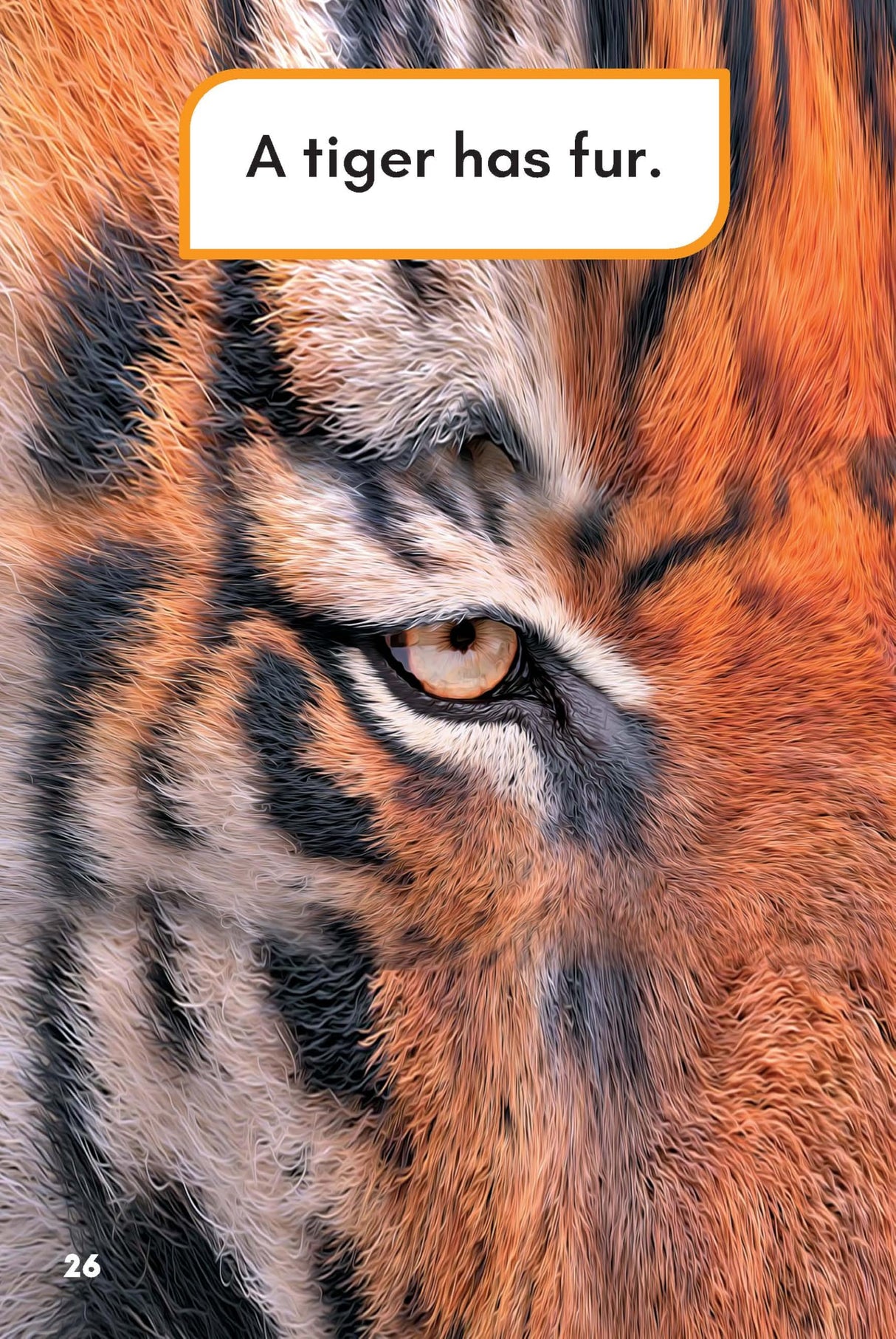 What Would You Rather Be? A Tiger Or A Tiger Shark? - Retail Maharaj