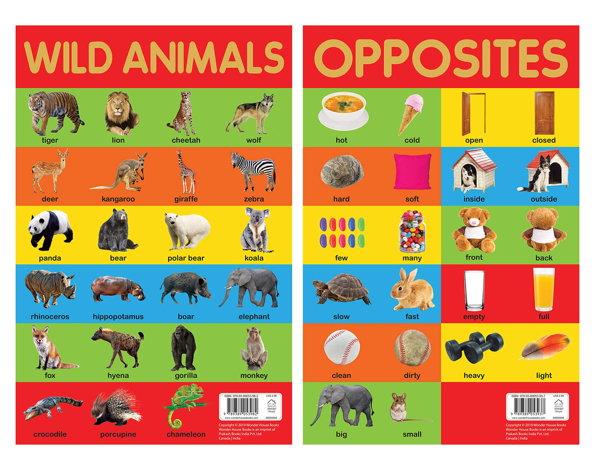 Mini Posters Envelope A3 size Pack of 10 Posters - Retail Maharaj